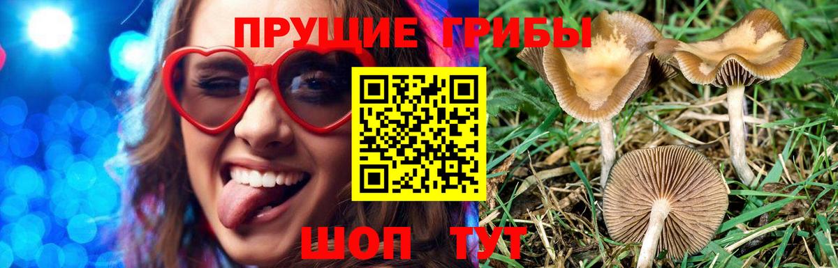 Галлюциногенные грибы MAGIC MUSHROOMS  как найти закладки  Октябрьский 