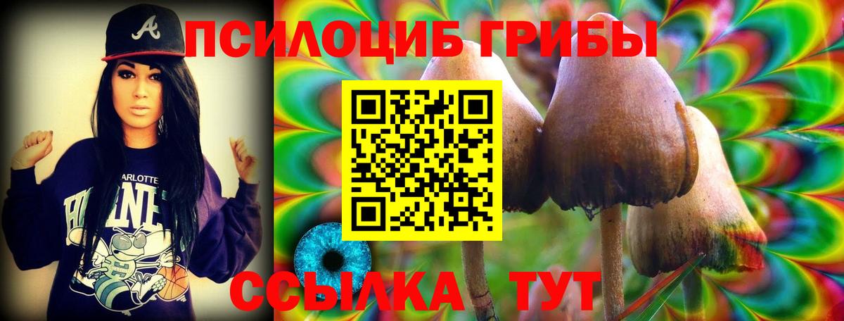 Псилоцибиновые грибы Psilocybe Октябрьский