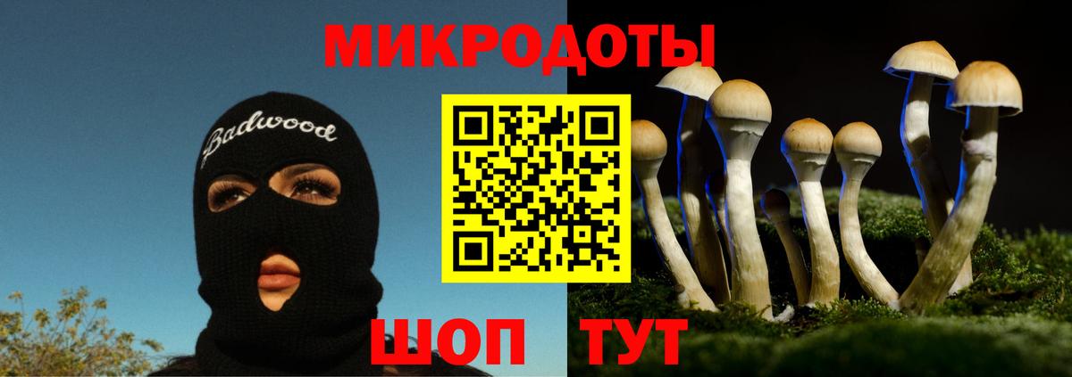 Октябрьский  Псилоцибиновые грибы ЛСД  Вход с VPN  Галлюциногенные грибы GOLDEN TEACHER 